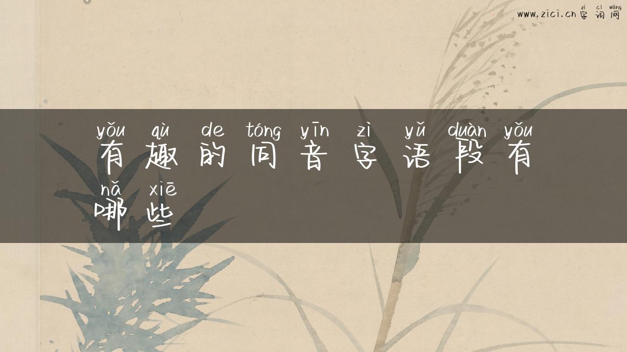 有趣的同音字语段有哪些