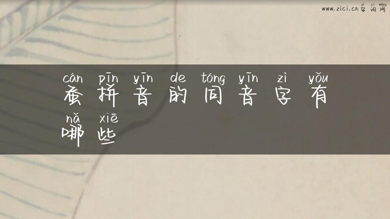 蚕拼音的同音字有哪些