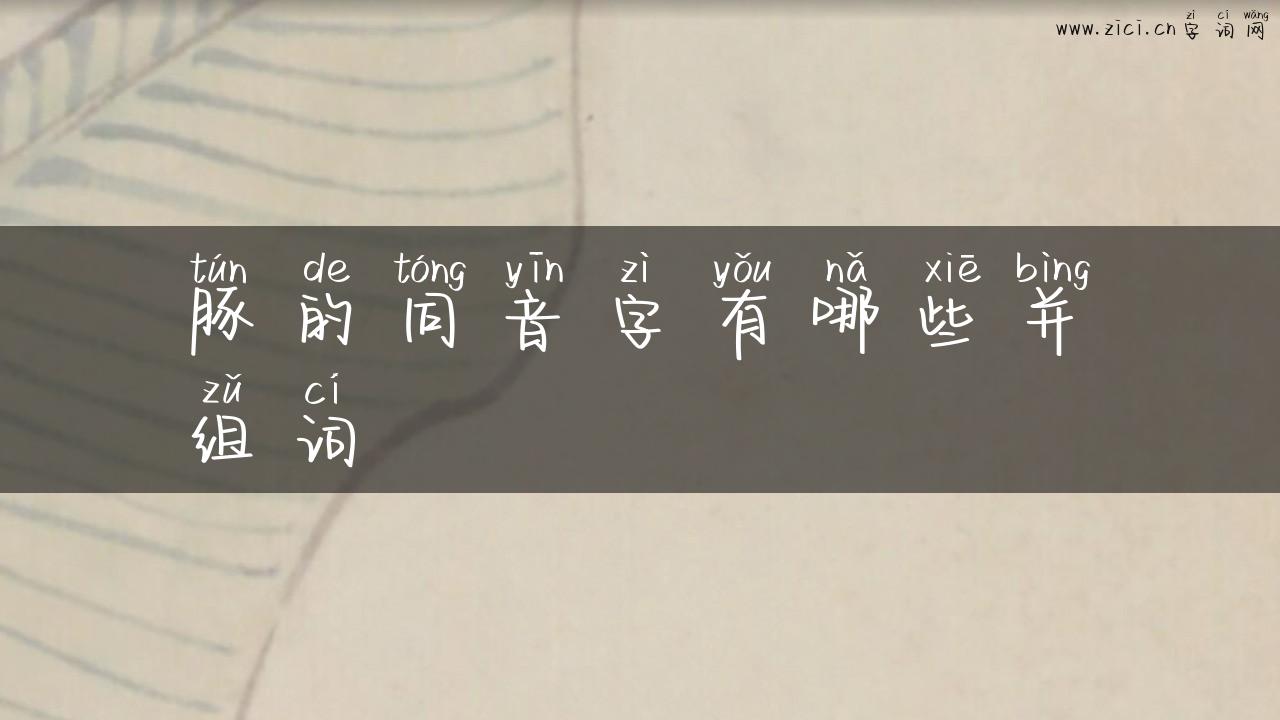 豚的同音字有哪些并组词