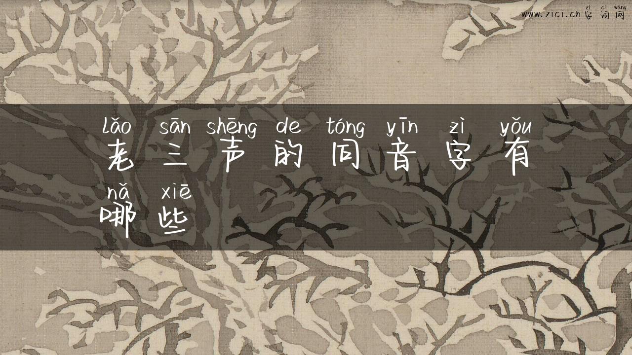 老三声的同音字有哪些