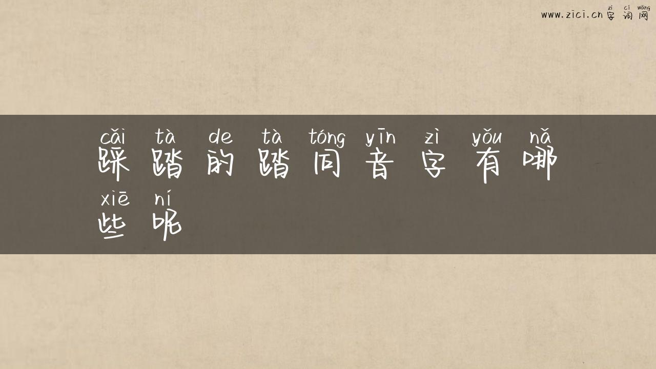 踩踏的踏同音字有哪些呢