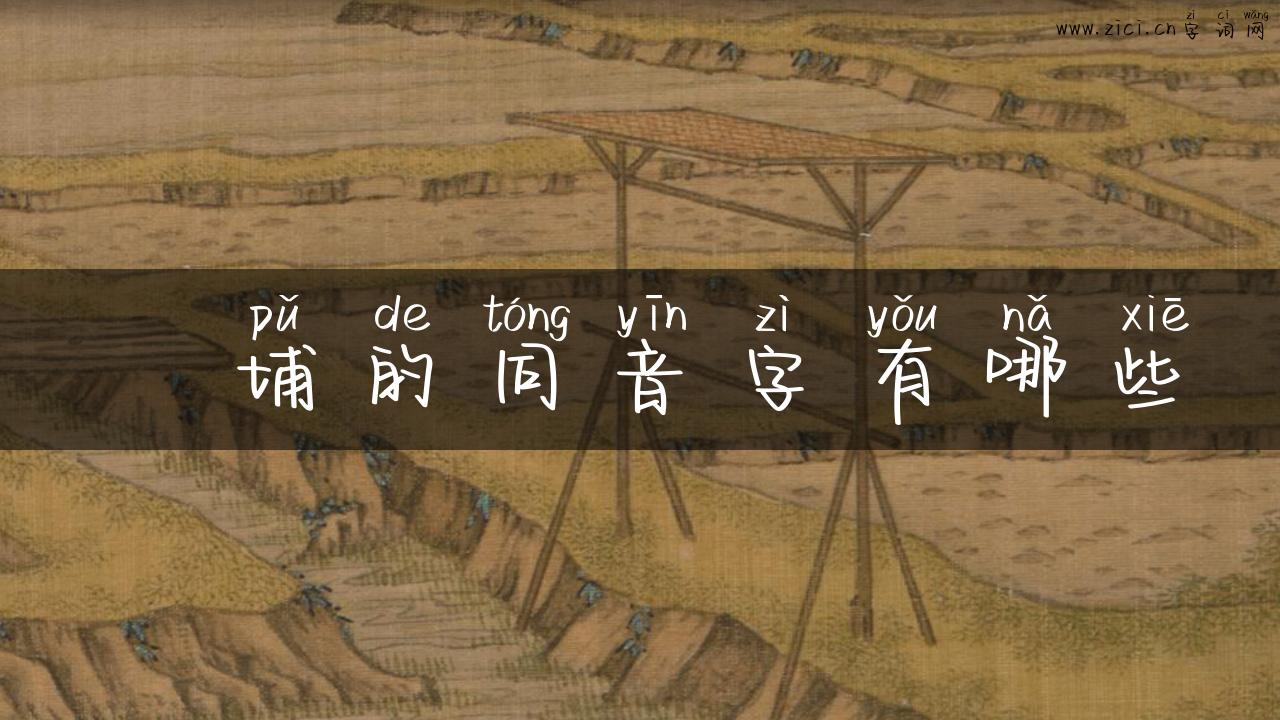蟳埔的同音字有哪些