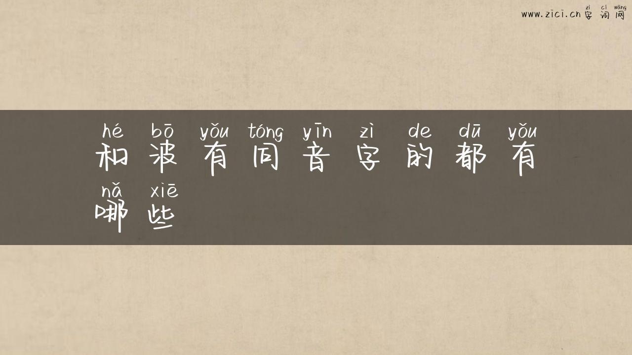 和波有同音字的都有哪些