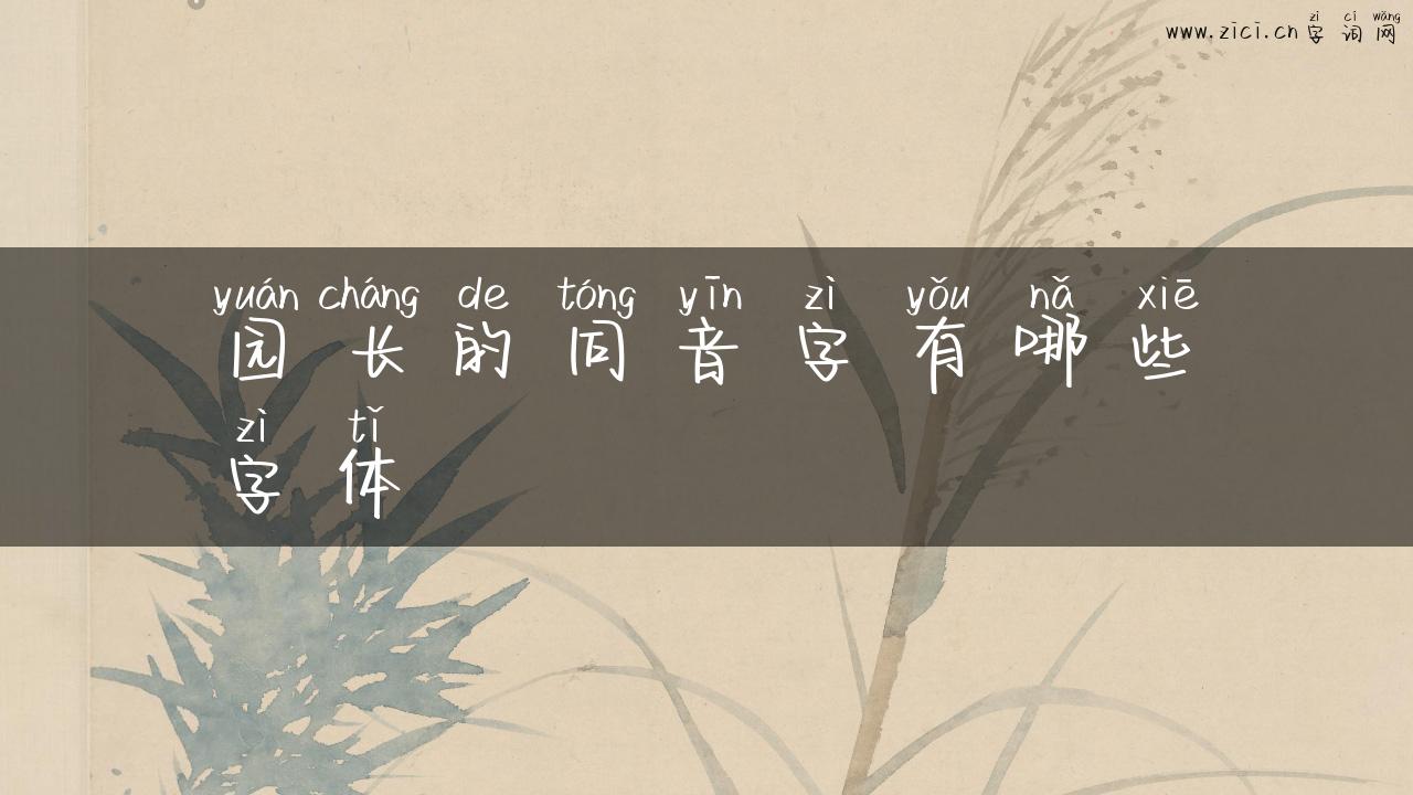 园长的同音字有哪些字体
