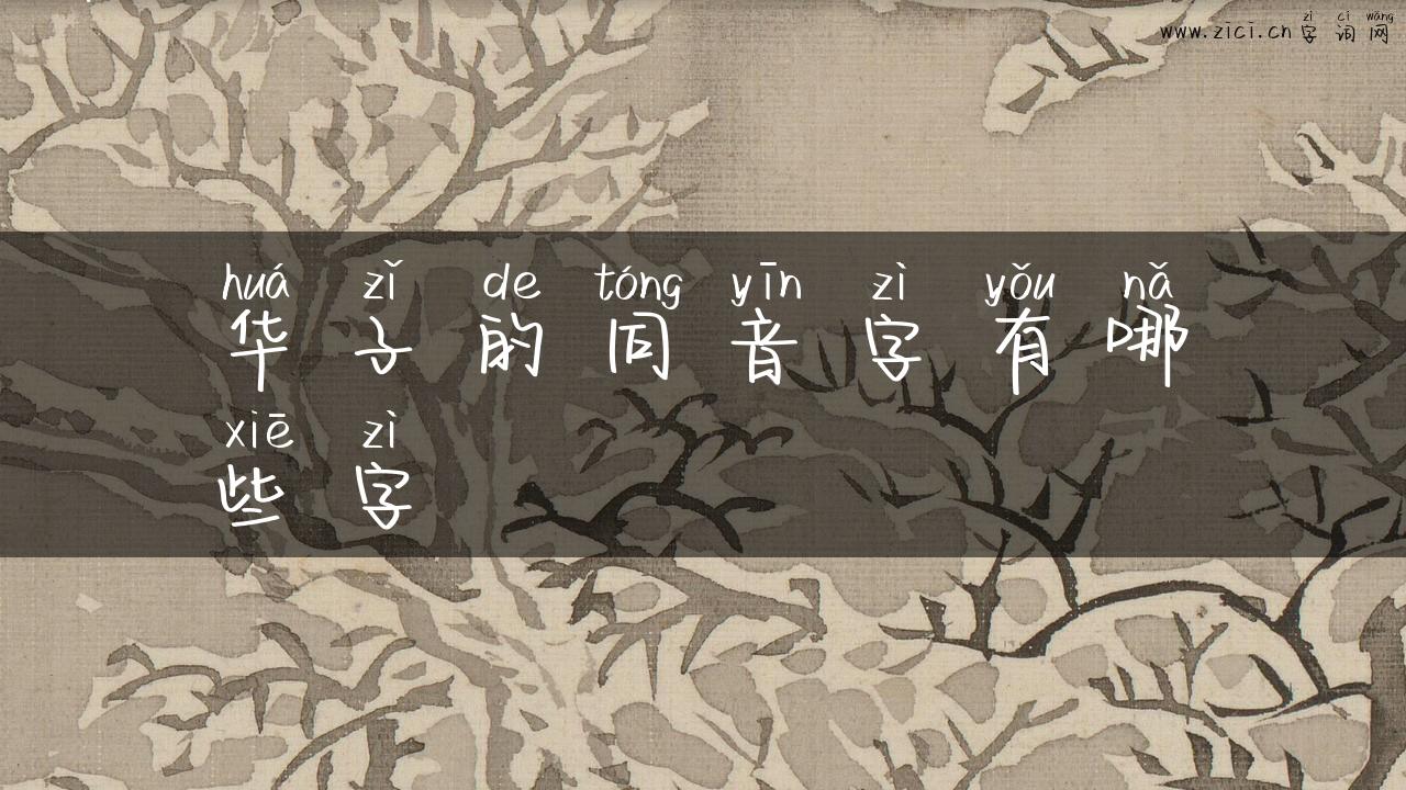 华子的同音字有哪些字