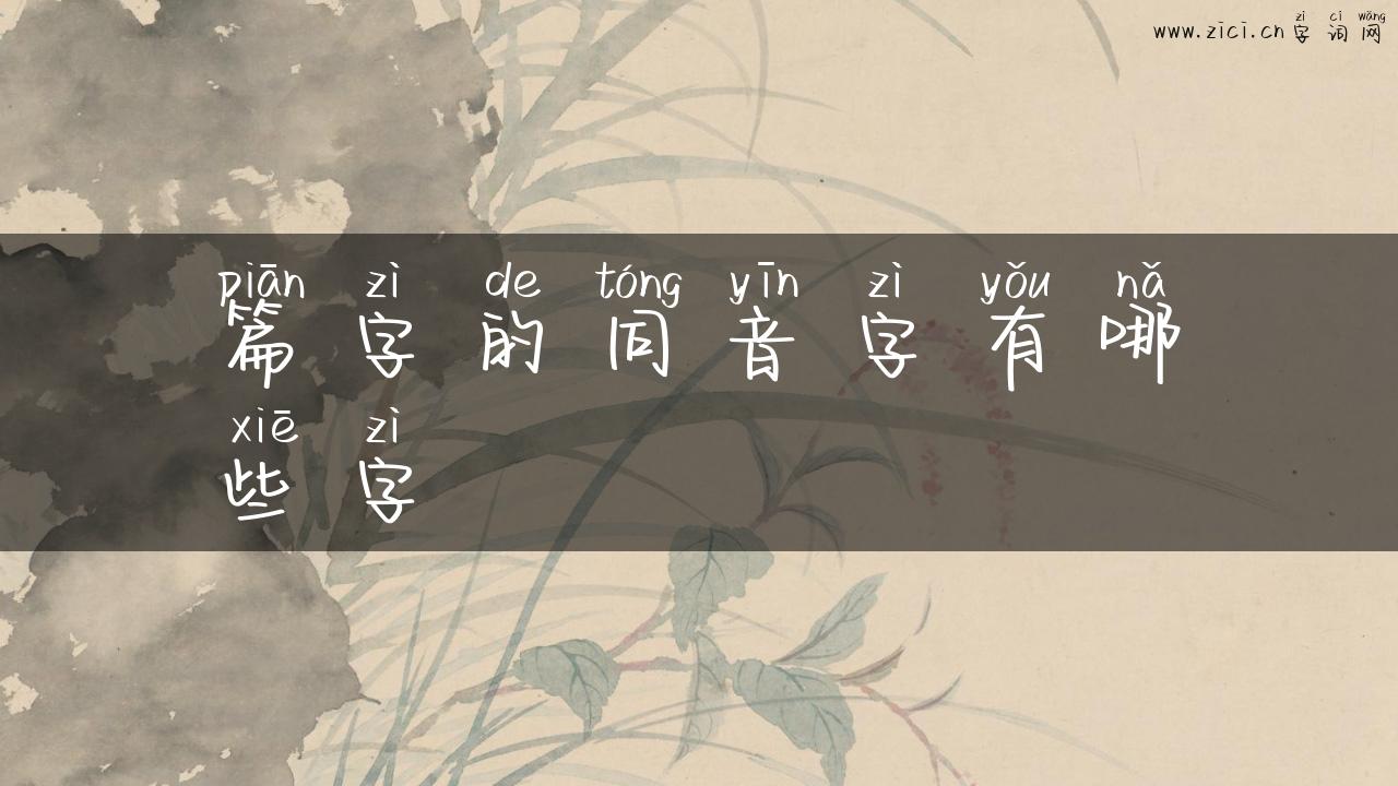 篇字的同音字有哪些字