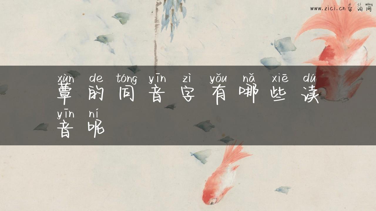 蕈的同音字有哪些读音呢
