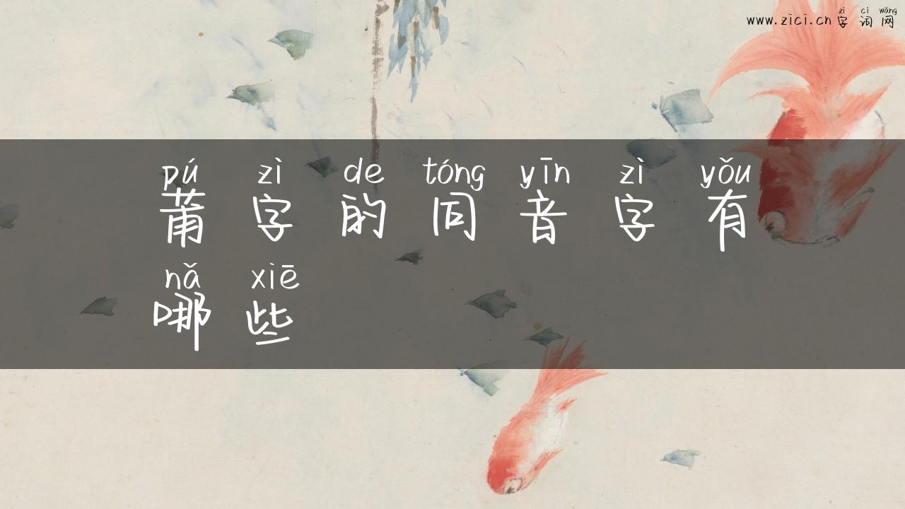 莆字的同音字有哪些