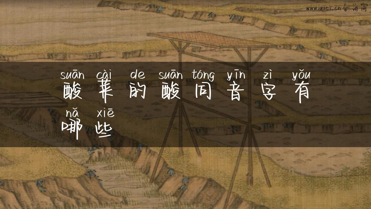 酸菜的酸同音字有哪些