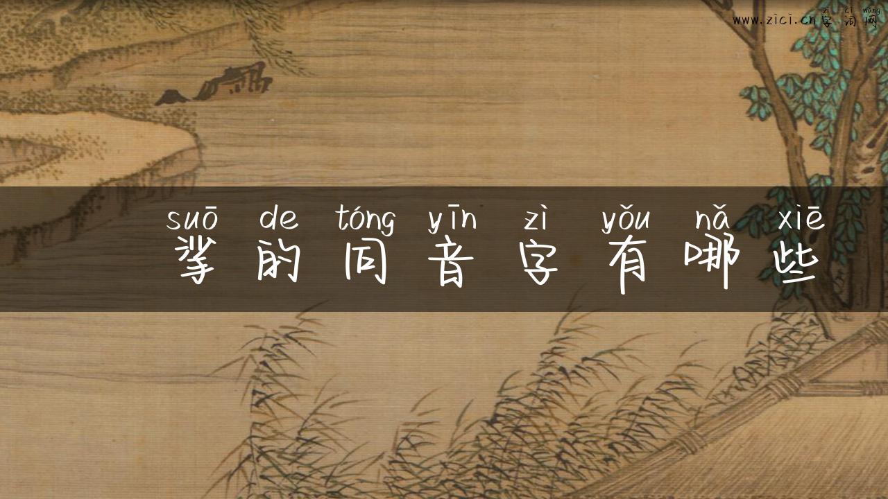 挓挲的同音字有哪些