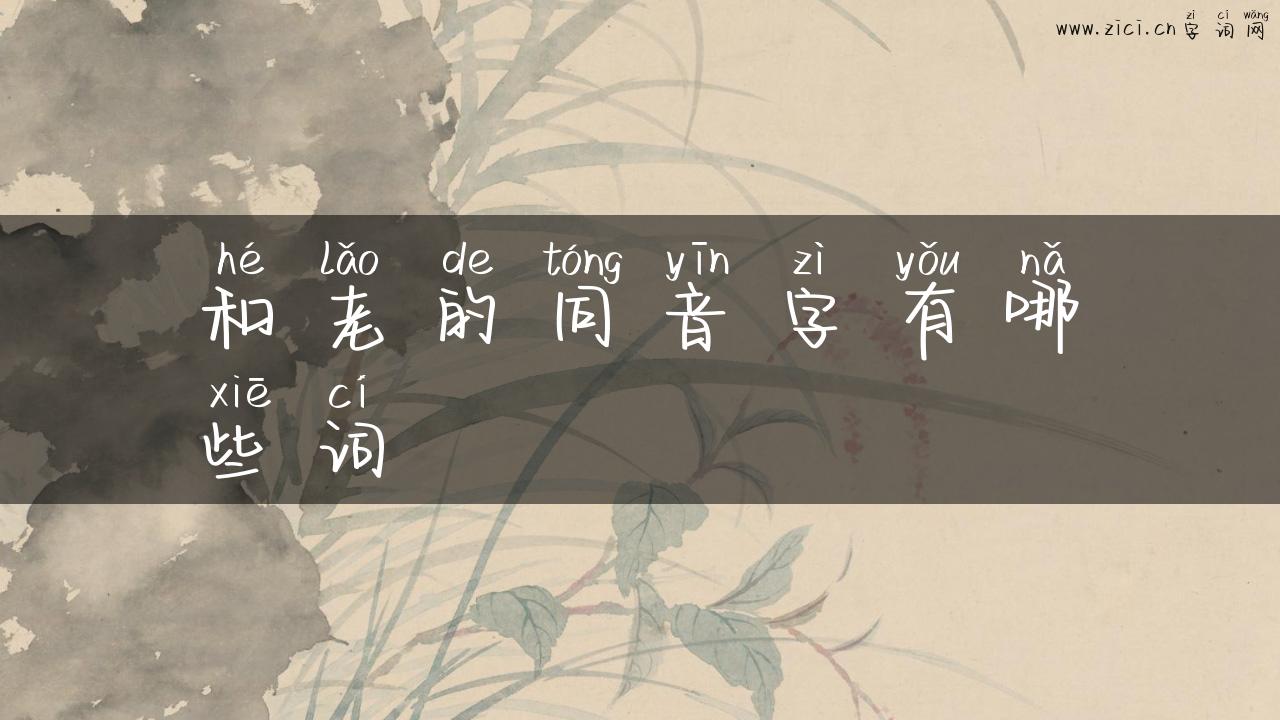 和老的同音字有哪些词