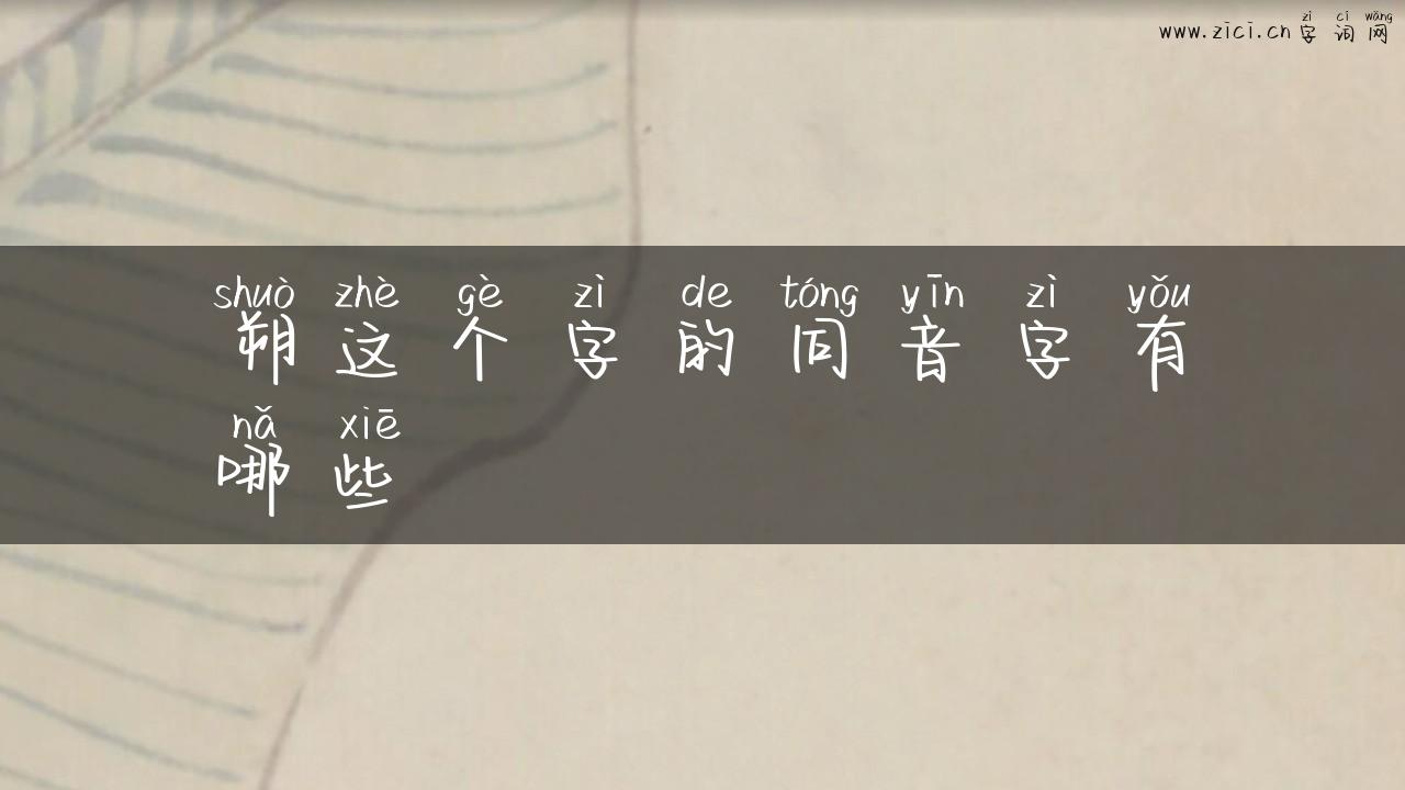 朔这个字的同音字有哪些