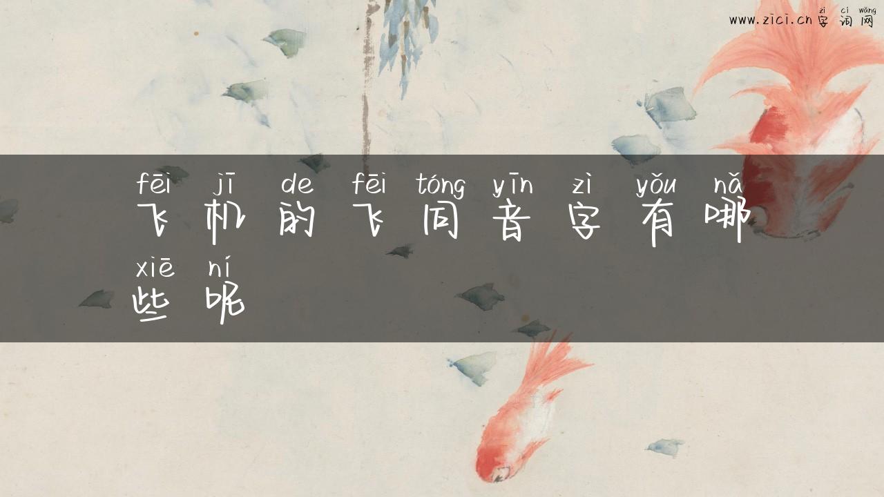 飞机的飞同音字有哪些呢