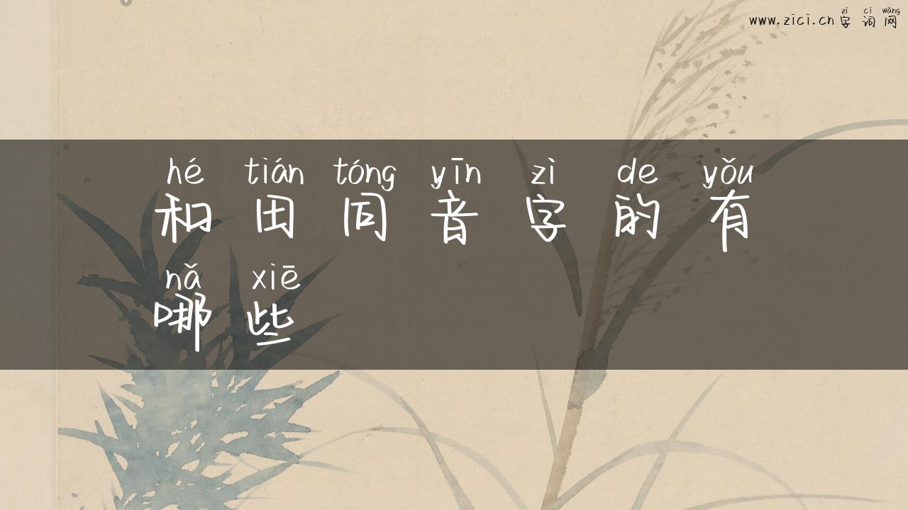 和田同音字的有哪些