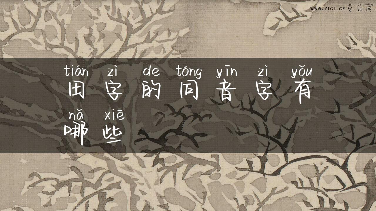 田字的同音字有哪些