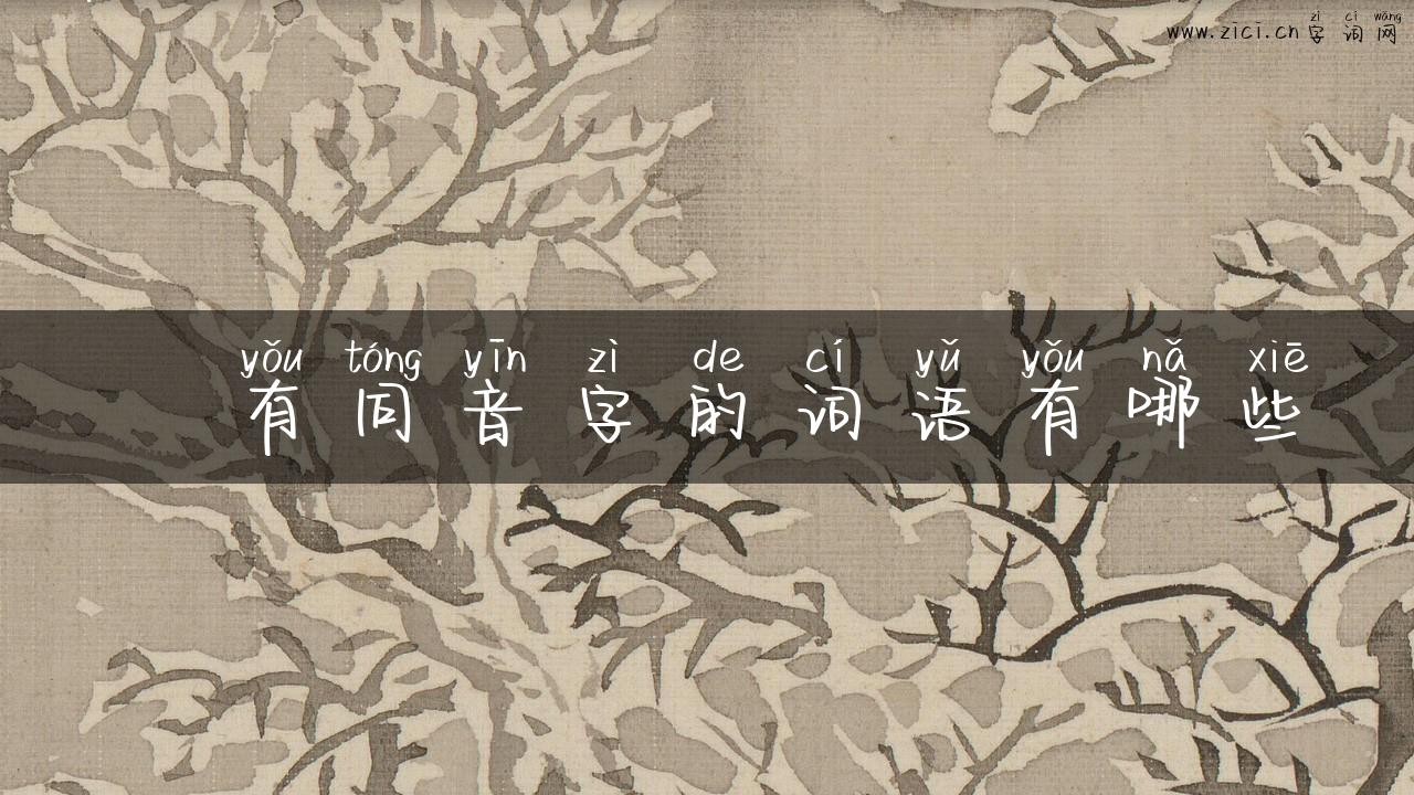 抙有同音字的词语有哪些