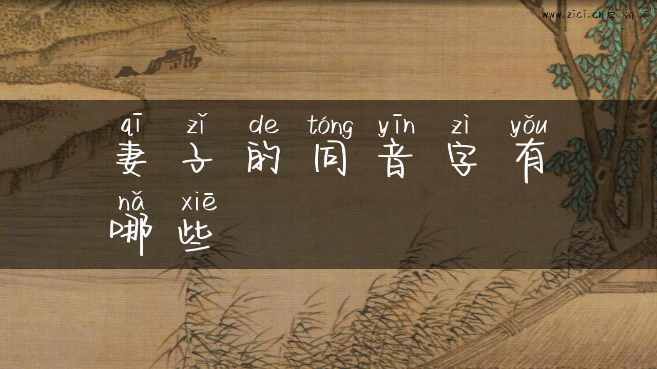 妻子的同音字有哪些