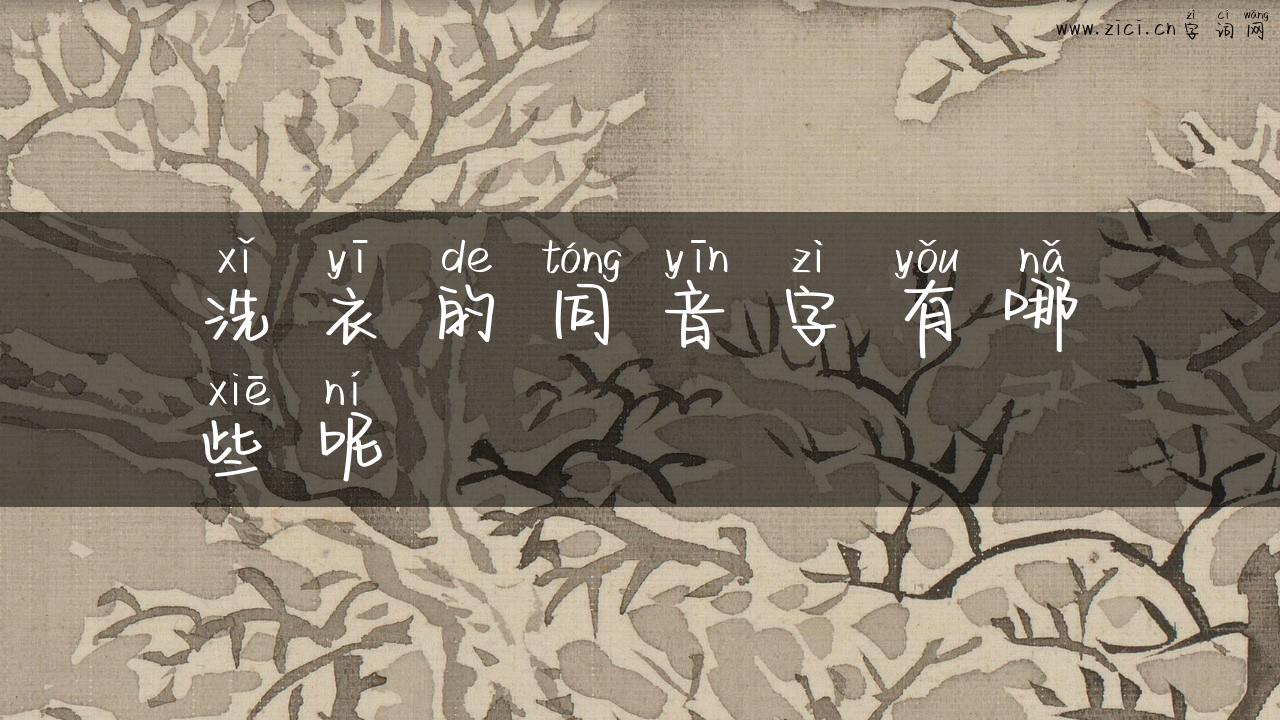 洗衣的同音字有哪些呢