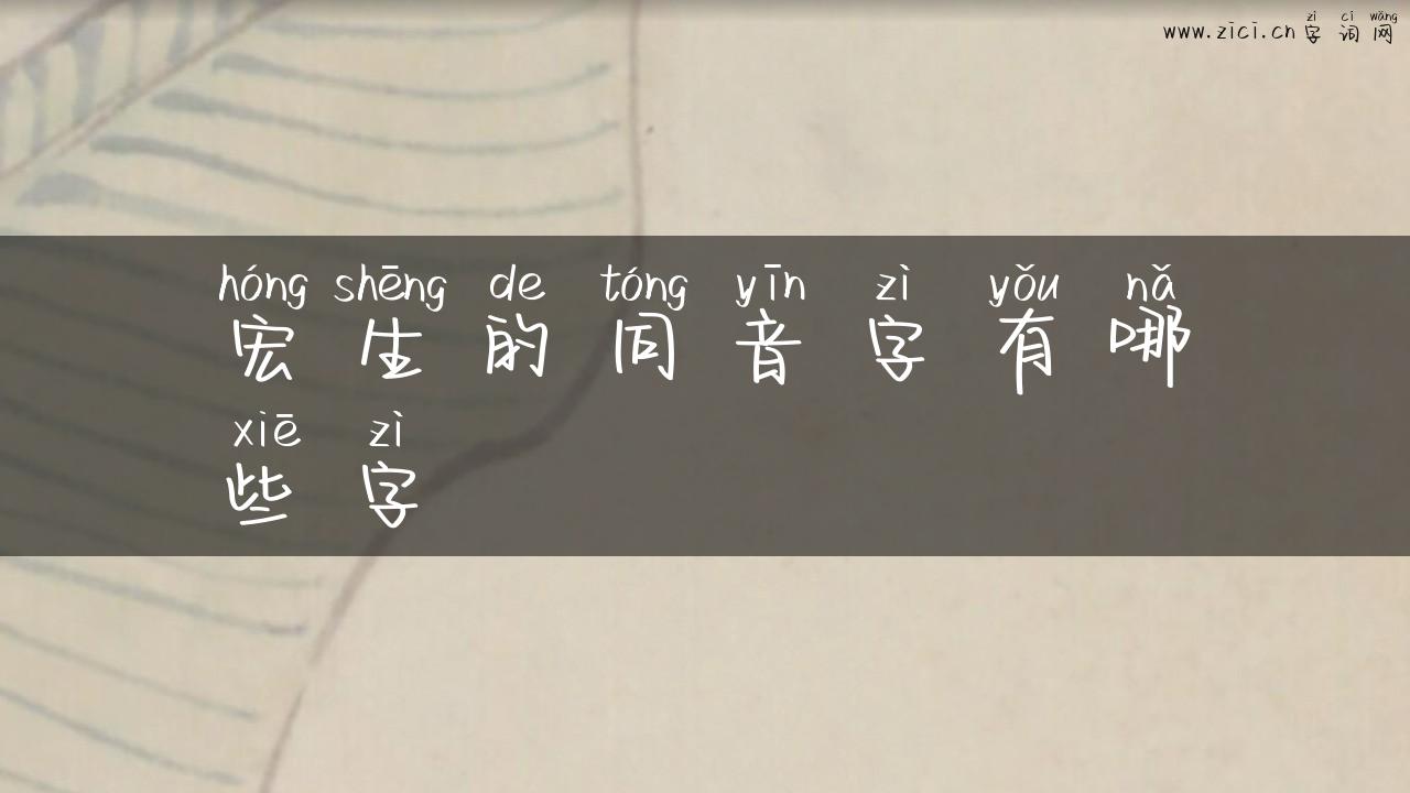 宏生的同音字有哪些字
