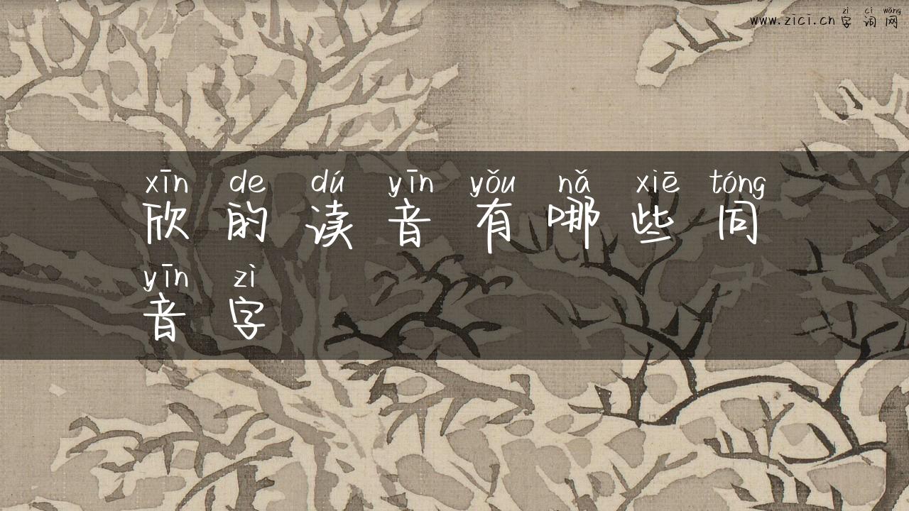 欣的读音有哪些同音字