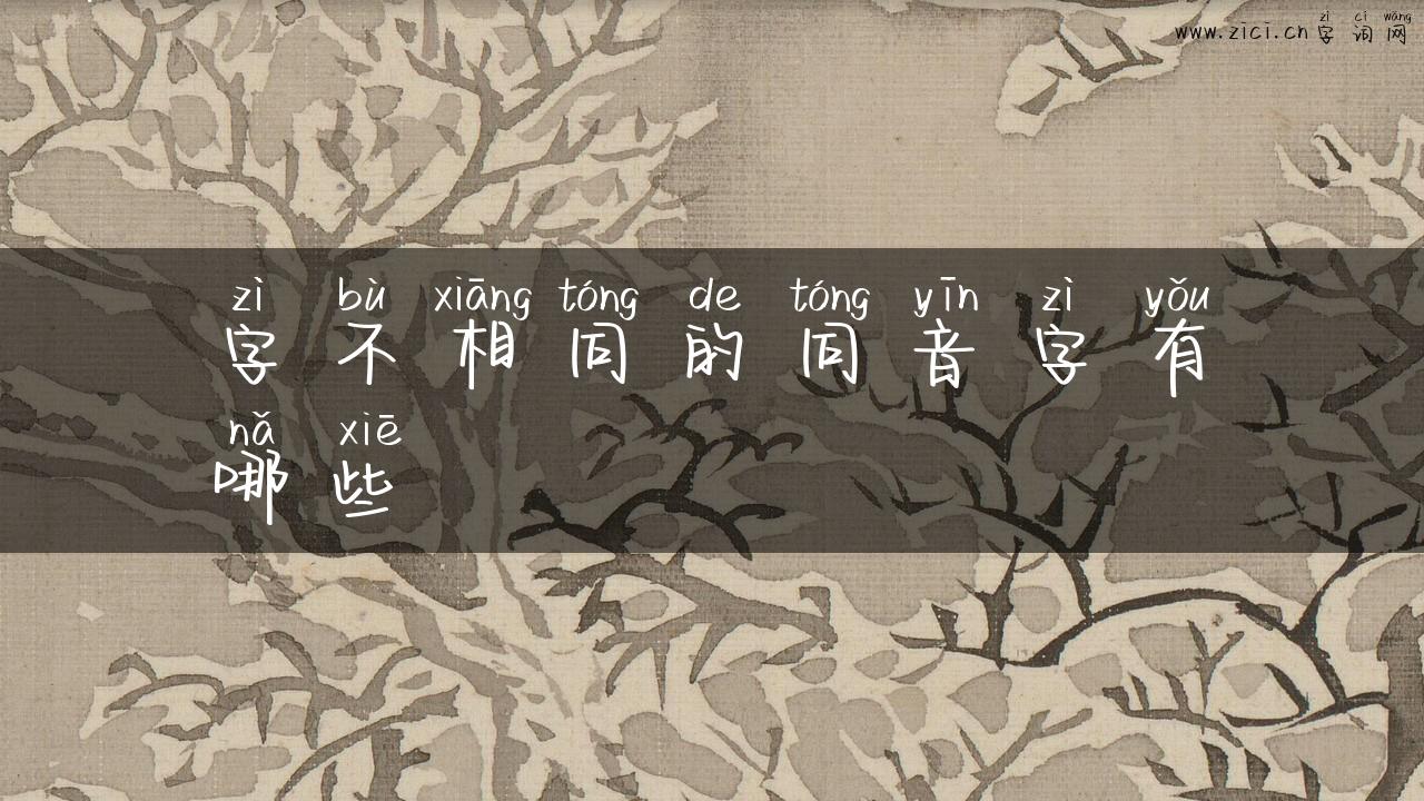 字不相同的同音字有哪些