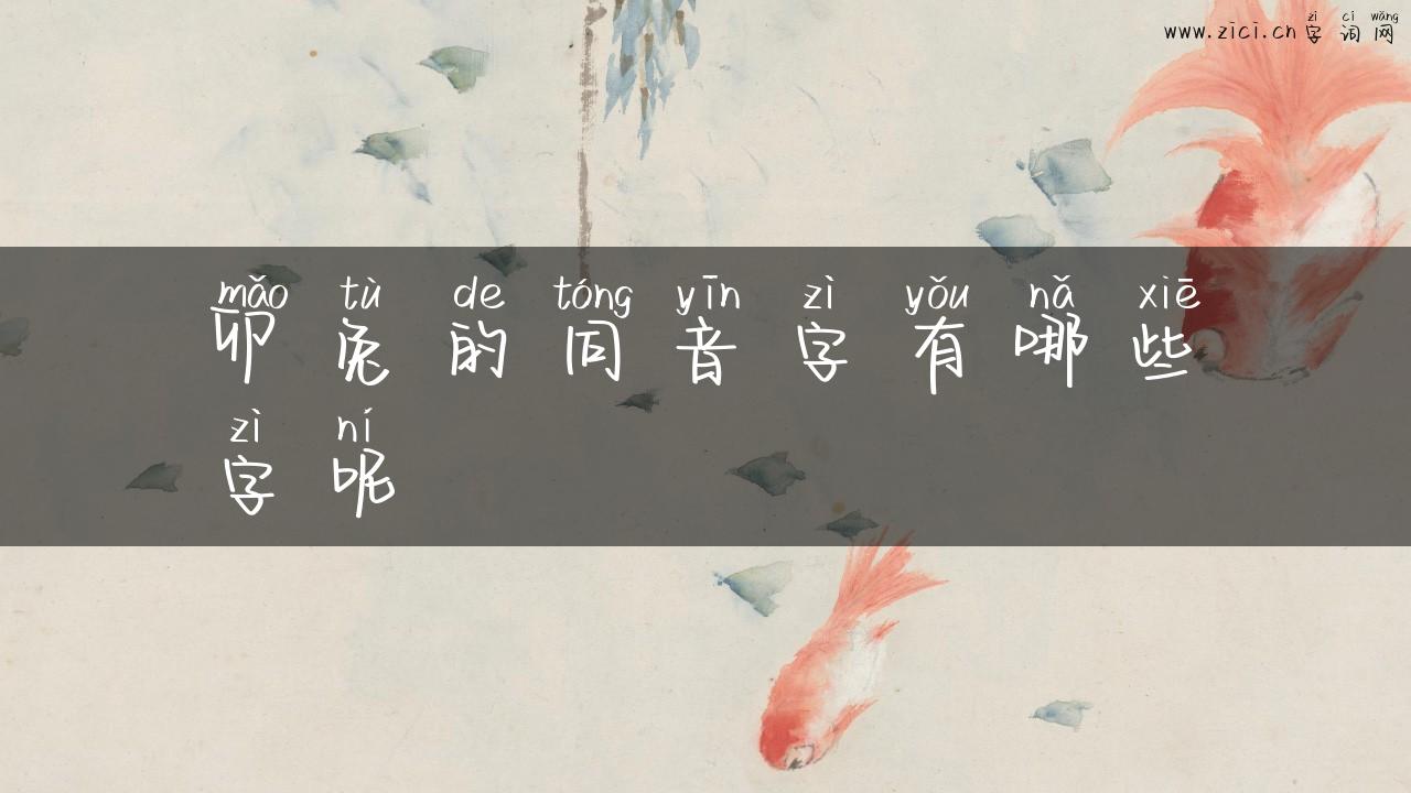 卯兔的同音字有哪些字呢