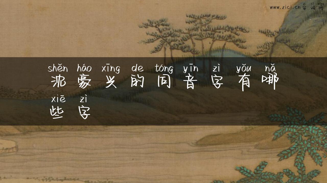 沈豪兴的同音字有哪些字