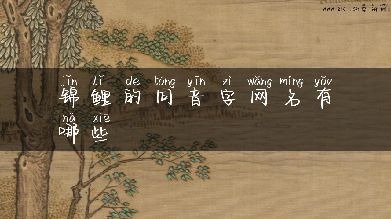 锦鲤的同音字网名有哪些