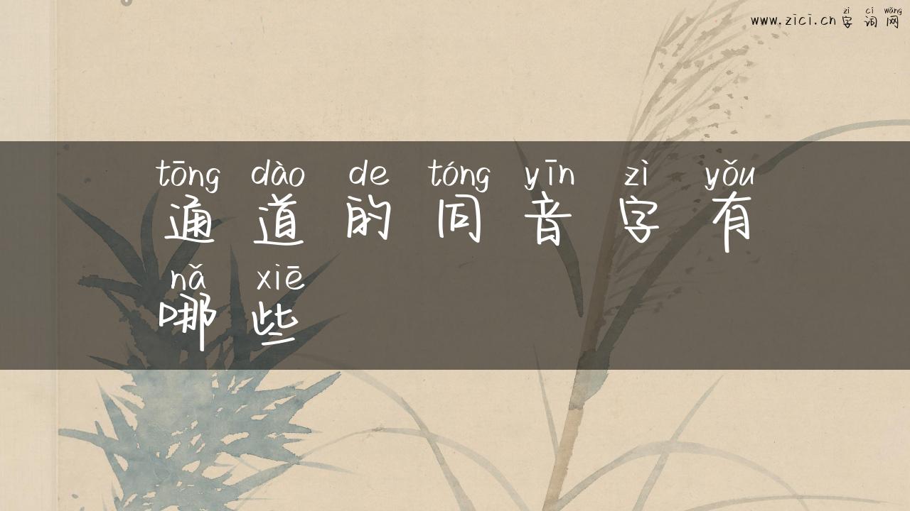 通道的同音字有哪些