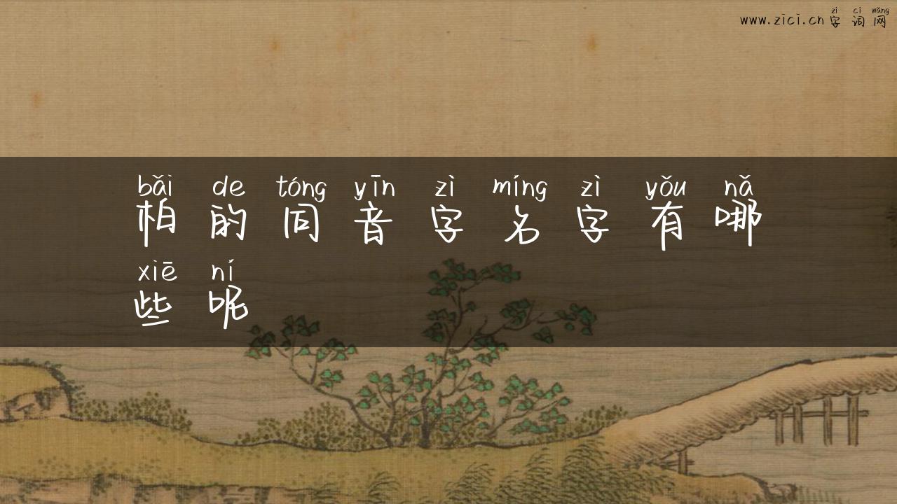 柏的同音字名字有哪些呢