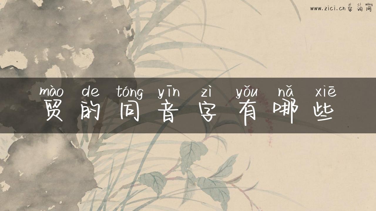贸的同音字有哪些