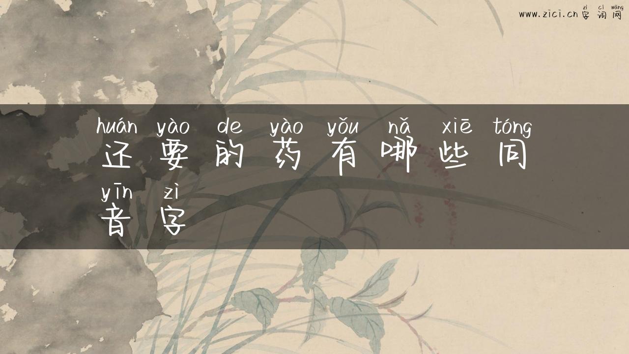 还要的药有哪些同音字