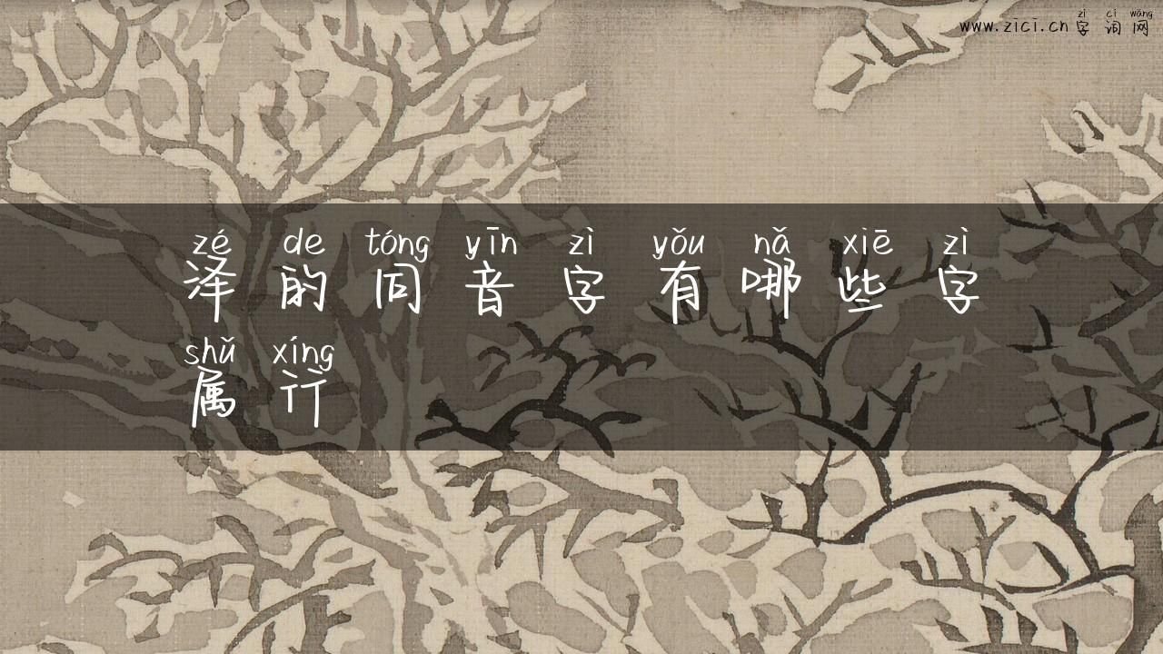 泽的同音字有哪些字属行