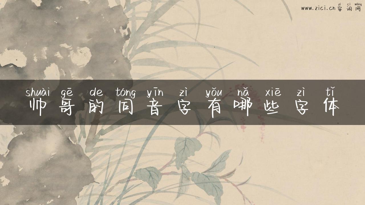 帅哥的同音字有哪些字体