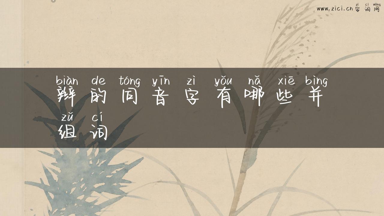 辫的同音字有哪些并组词