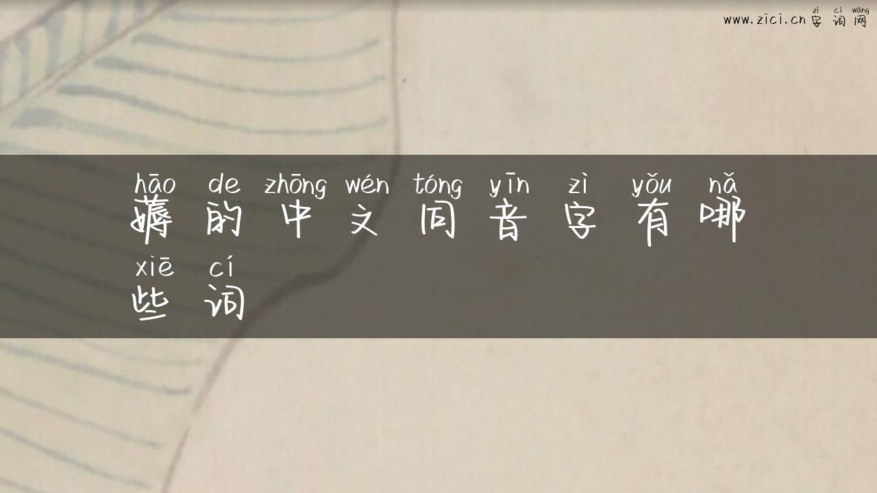 薅的中文同音字有哪些词