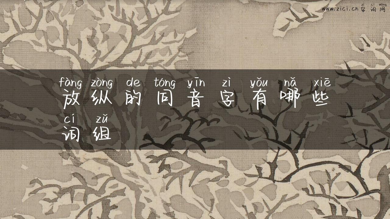 放纵的同音字有哪些词组