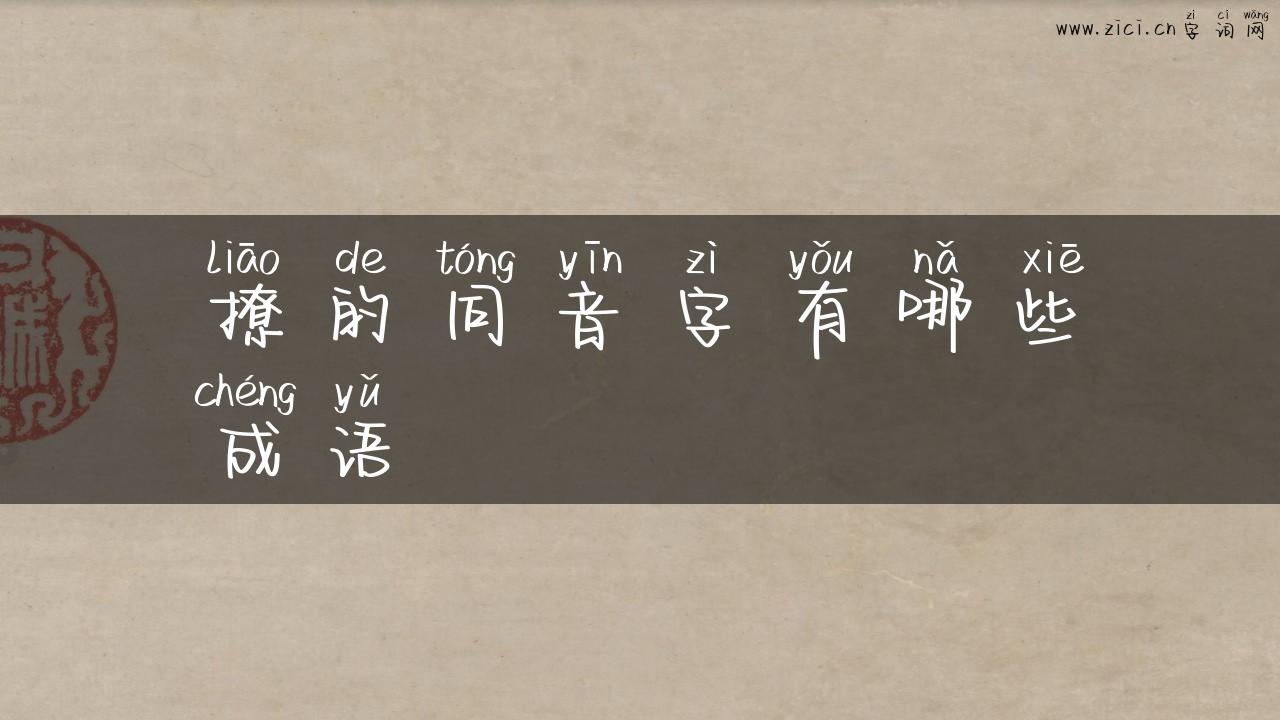 撩的同音字有哪些成语