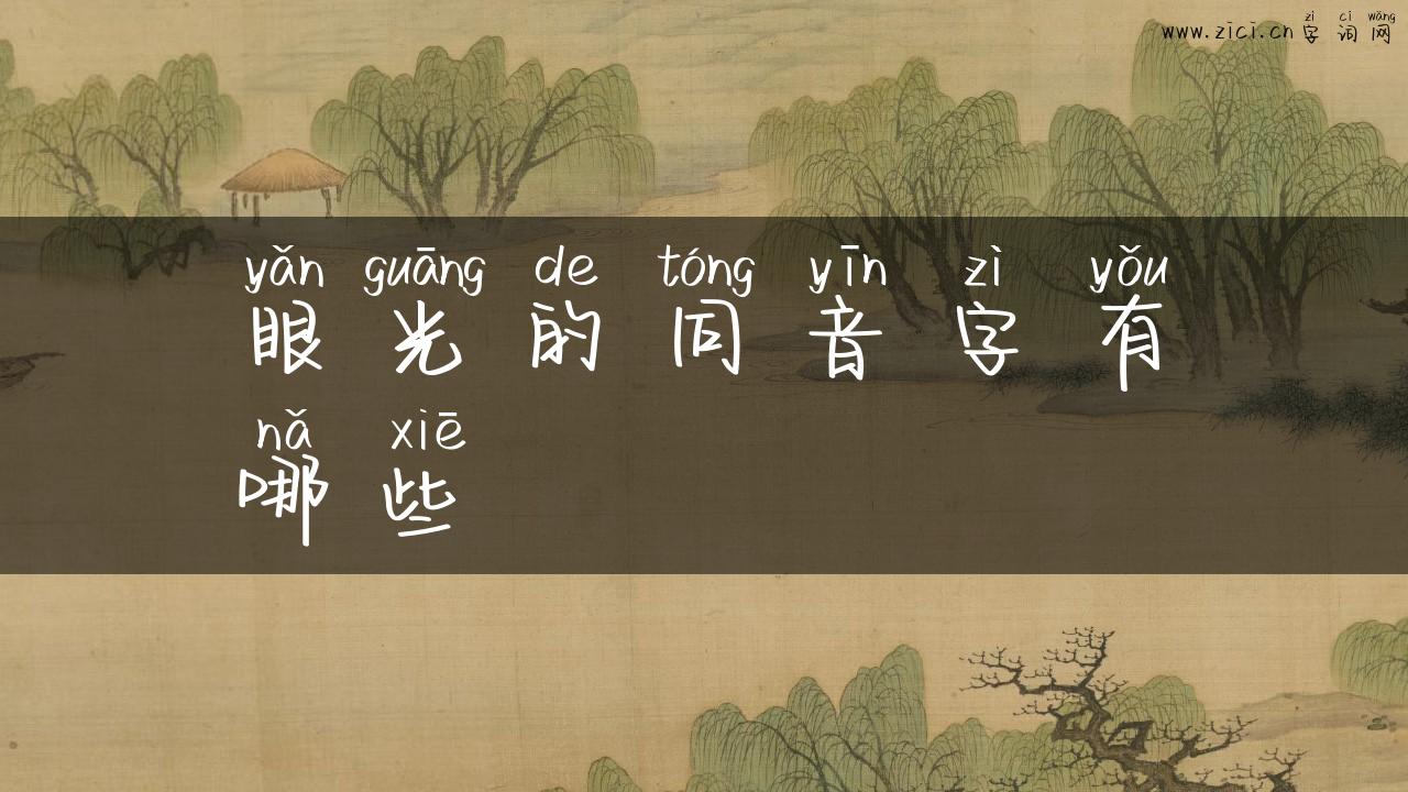 眼光的同音字有哪些