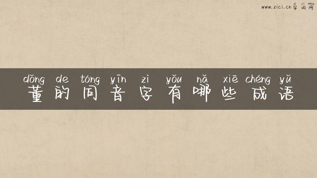 董的同音字有哪些成语