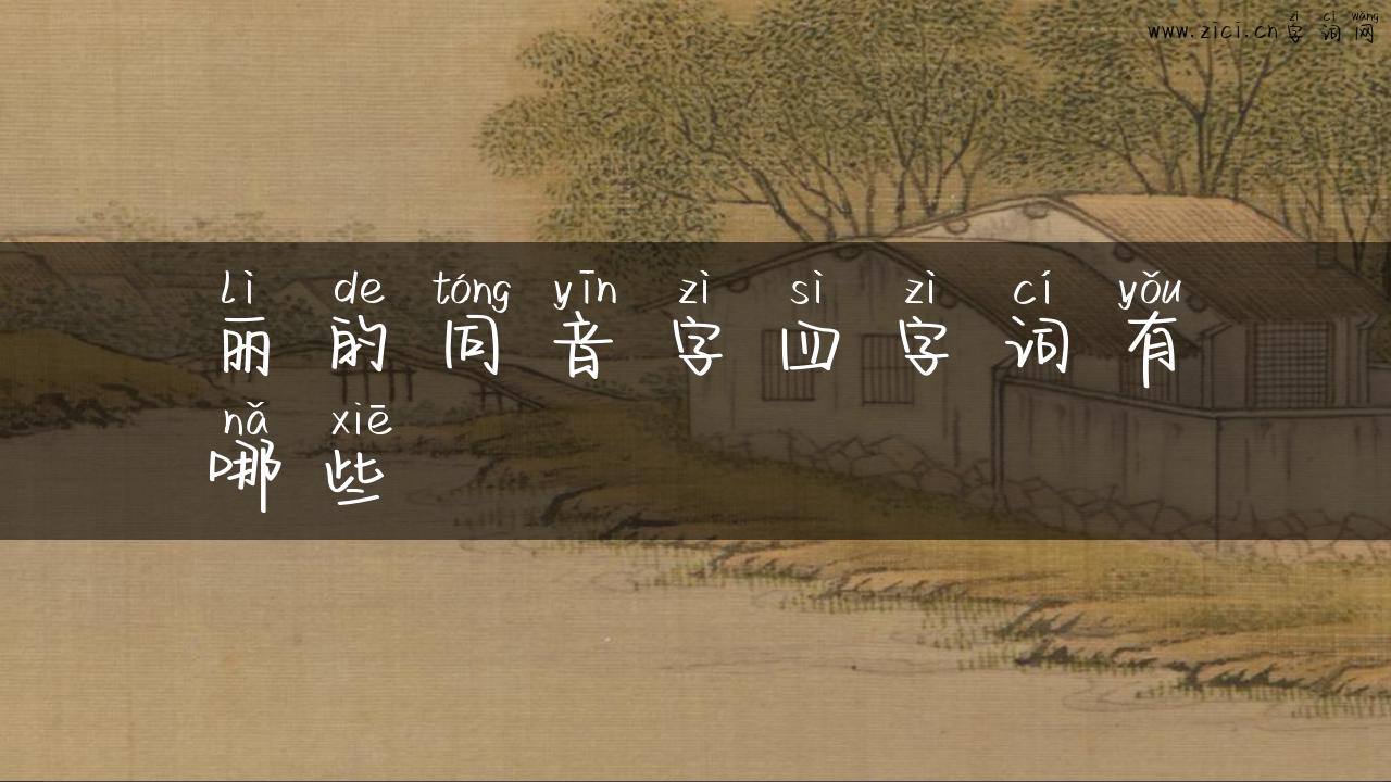 丽的同音字四字词有哪些