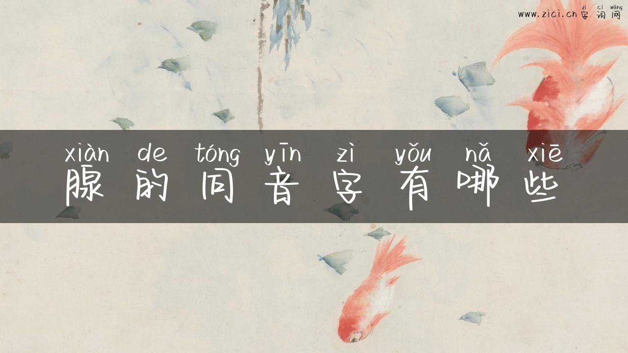 腺的同音字有哪些