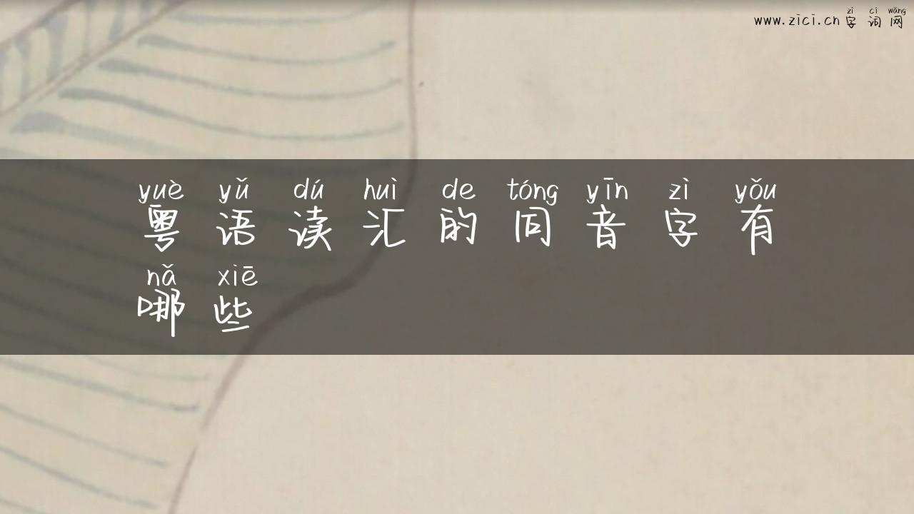 粤语读汇的同音字有哪些