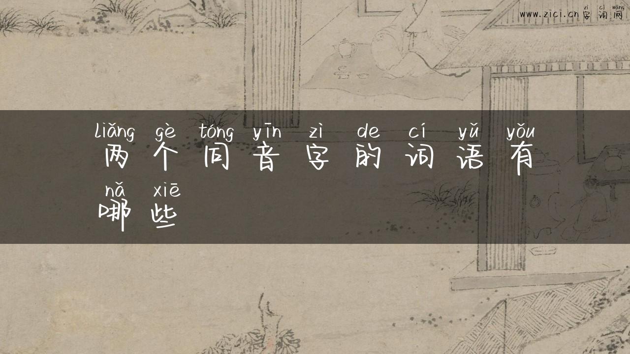 两个同音字的词语有哪些