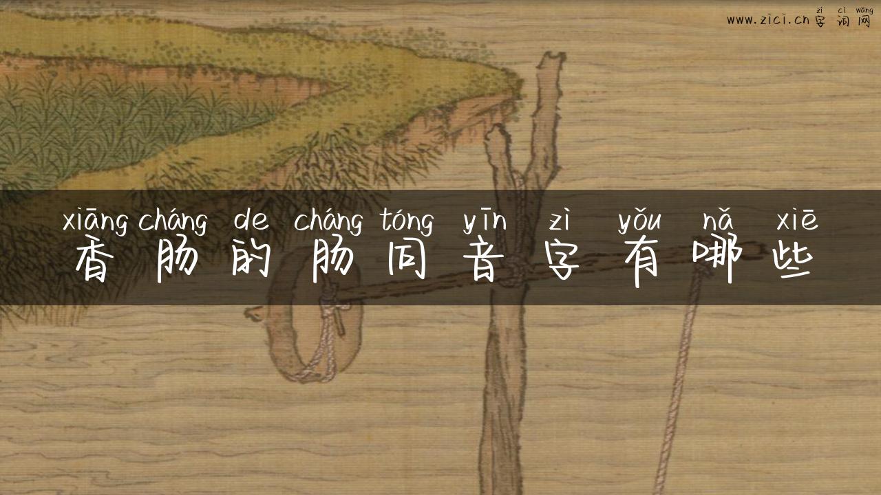 香肠的肠同音字有哪些