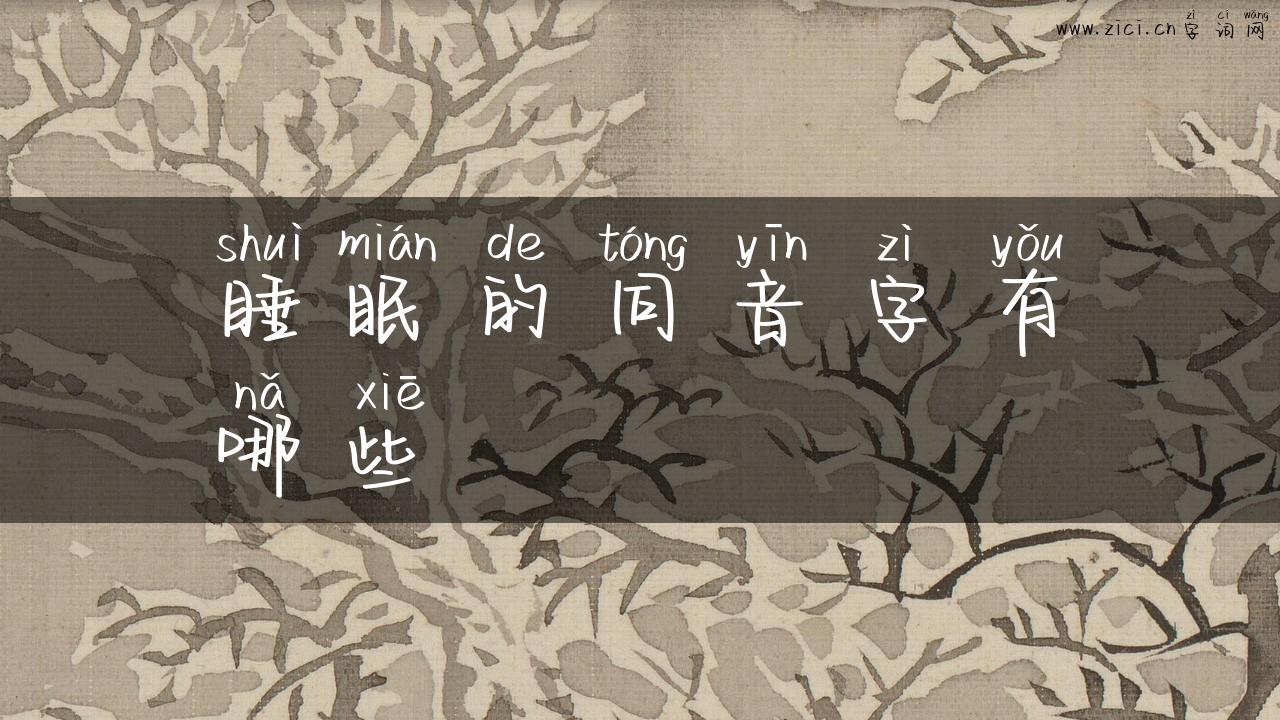 睡眠的同音字有哪些