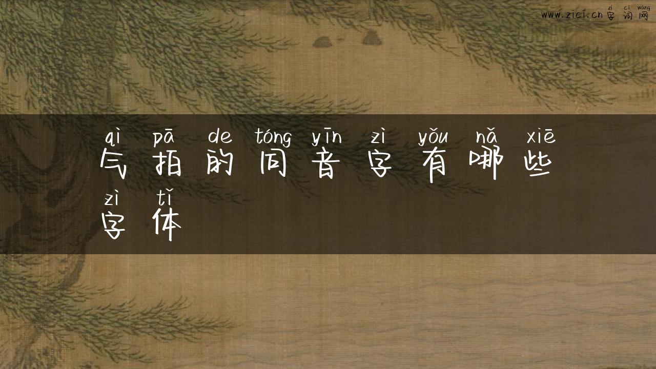 气拍的同音字有哪些字体