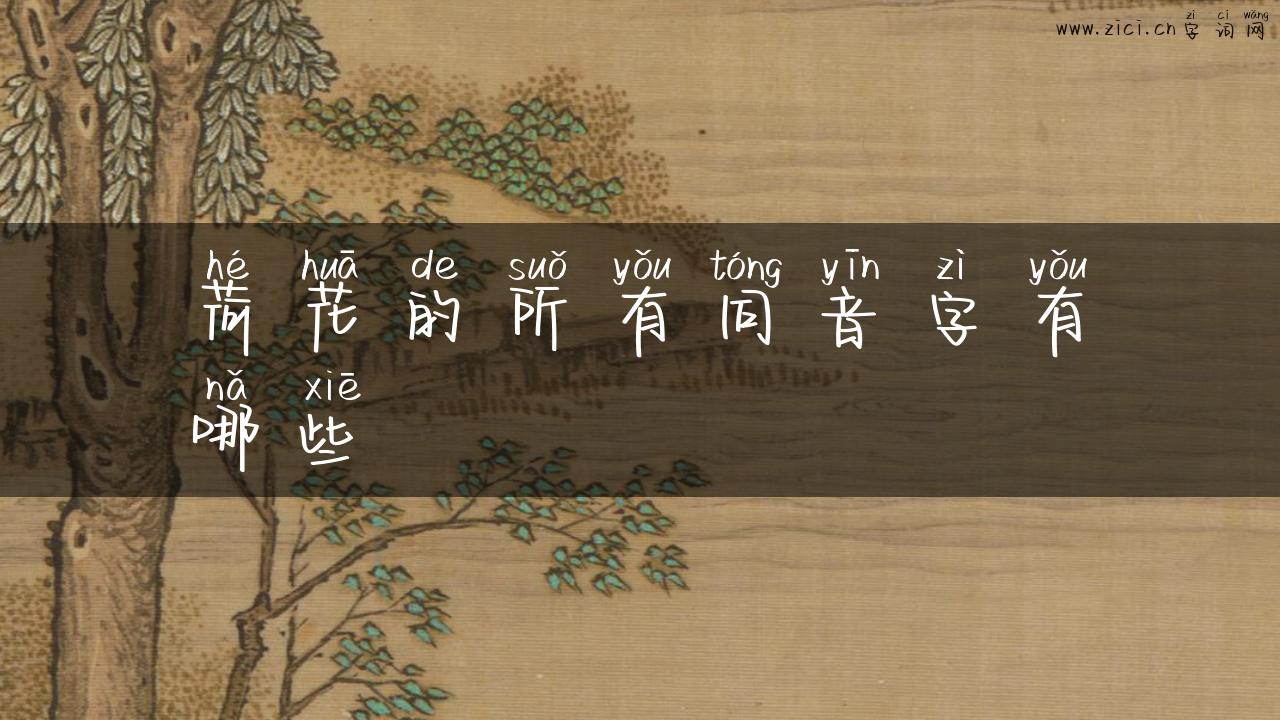 荷花的所有同音字有哪些