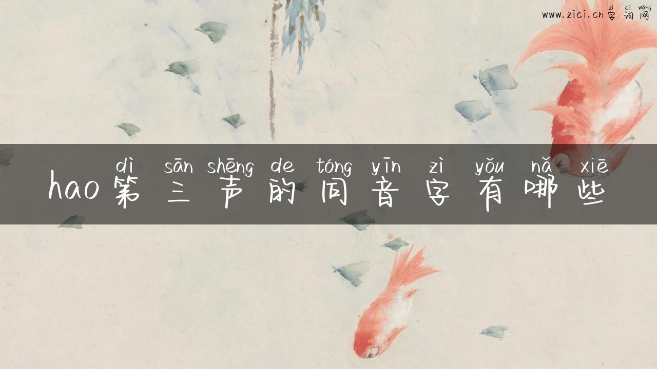 hao第三声的同音字有哪些