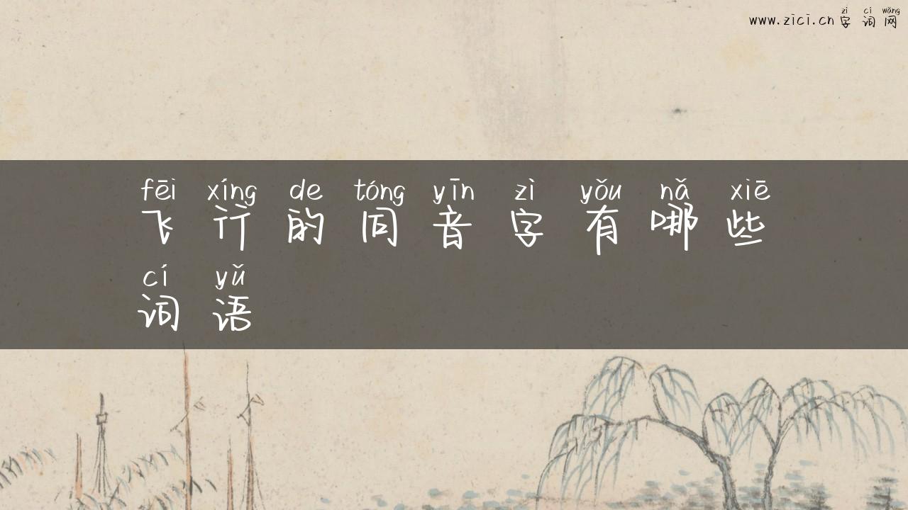 飞行的同音字有哪些词语